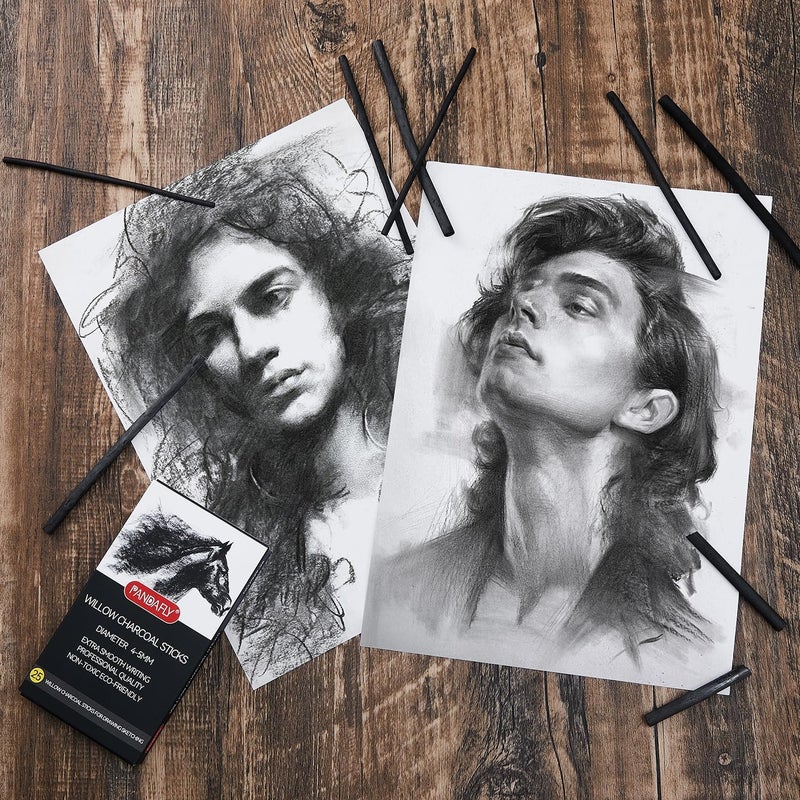 PANDAFLY Willow Charcoal Sticks, Soft, Black Artist Vine Charcoal for Artists, Beginners, Students, Great for Sketching, Drawing, Shading and Fine Art, 4-5mm, 25 Pack - Image 5